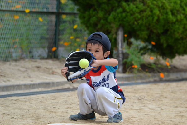５万円相当の野球用具をひとり親世帯へ提供（北海道日本ハムファイターズ）