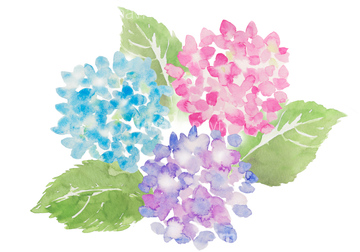 エスクル無料会員（LINE公式） 2024年春