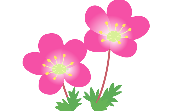 エスクル無料会員（LINE公式） 2026年春